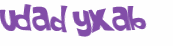 CAPTCHA 挑戰