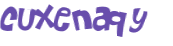 CAPTCHA 挑戰
