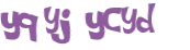 CAPTCHA 挑戰