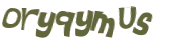 CAPTCHA-haaste