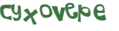 CAPTCHA 挑戰