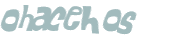 CAPTCHA 挑戰