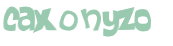 CAPTCHA 挑戰