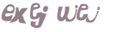 CAPTCHA 挑戰