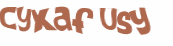 Captcha-udfordring