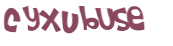 CAPTCHA 挑戰