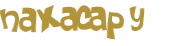 Captcha挑战