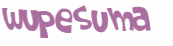 Wyzwanie captcha