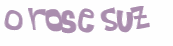 Wyzwanie captcha