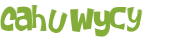 Wyzwanie captcha