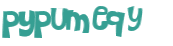 CAPTCHA 挑戰