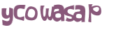 Captcha-Test