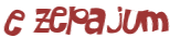 CAPTCHA 挑戰