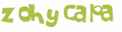 Wyzwanie captcha