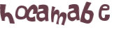 Wyzwanie captcha