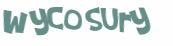Wyzwanie captcha