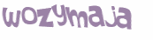 Captcha 챌린지
