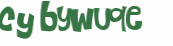 CAPTCHA 挑戰