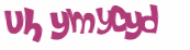 Desafio captcha
