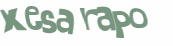 Desafio captcha