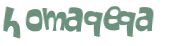 CAPTCHA 挑戰