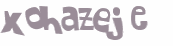 Wyzwanie captcha