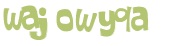 Wyzwanie captcha
