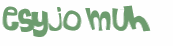 Captcha-Test