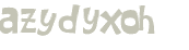 CAPTCHA 挑戰