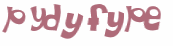 Captcha 챌린지