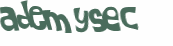 CAPTCHA 挑戰