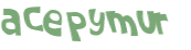 Captcha 챌린지