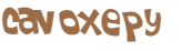 Captcha 챌린지