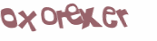 CAPTCHA 挑戰