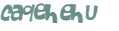 Desafio captcha