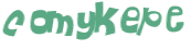 Captcha 챌린지