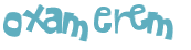 Captcha 챌린지