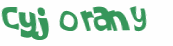 Wyzwanie captcha