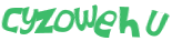 CAPTCHA 挑戰