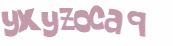 CAPTCHA 挑戰