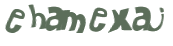CAPTCHA 挑戰