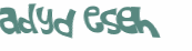 Desafio Captcha