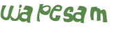 CAPTCHA 挑戰