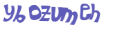 CAPTCHA 挑戰