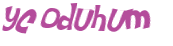 Desafio captcha
