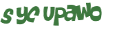 Captcha challenge