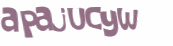 Captcha挑战