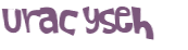 CAPTCHA 挑戰