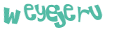 Wyzwanie captcha