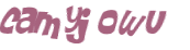 Desafio Captcha